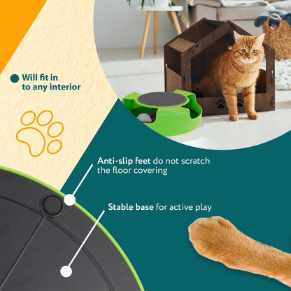 Spinning Mouse Play Set for Cats