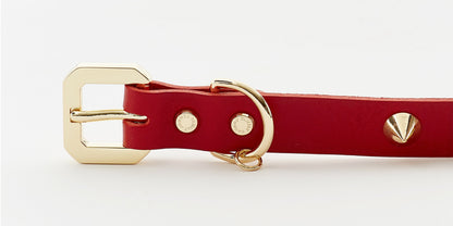 Vegetable Tanned Red Leather/Gold Collar