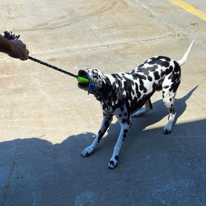 ReRope Looper with Tennis Ball (Eco-Friendly) Fabric Rope Ball Toy