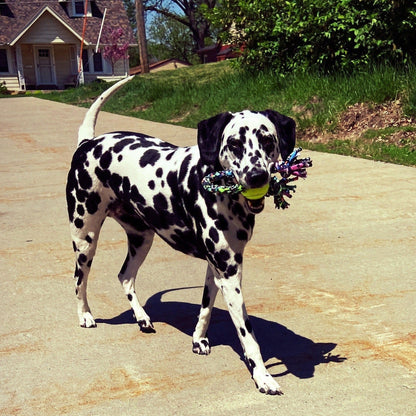 ReRope Looper with Tennis Ball (Eco-Friendly) Fabric Rope Ball Toy