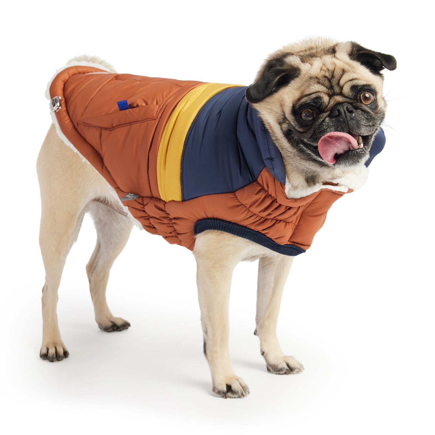 Retro Puffer Dog Jacket, Hazel