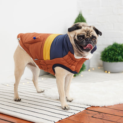 Retro Puffer Dog Jacket, Hazel