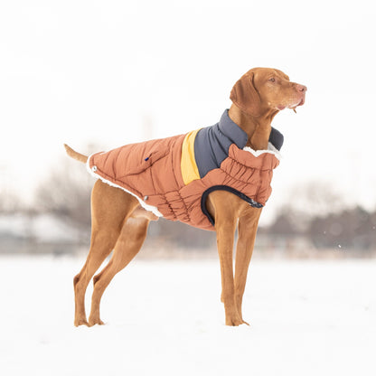 Retro Puffer Dog Jacket, Hazel