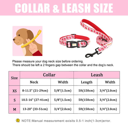 Nylon Adjustable Dog Collar and Leash Set
