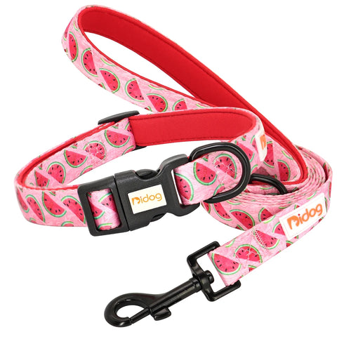 Nylon Adjustable Dog Collar and Leash Set