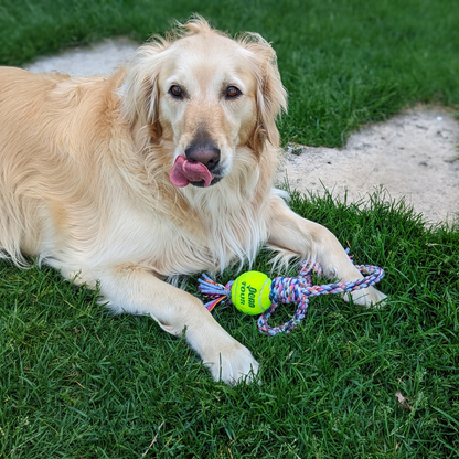 28" Tough Tug Rope with Tennis Ball (Made in the USA)