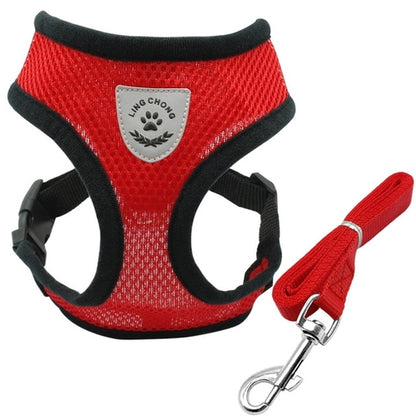 Mesh Reflective Harness (S-XL) and Leash Set