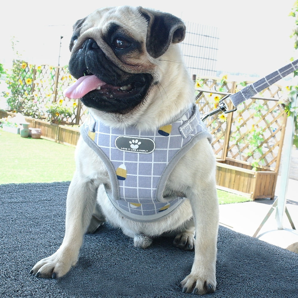Mesh Reflective Harness (S-XL) and Leash Set