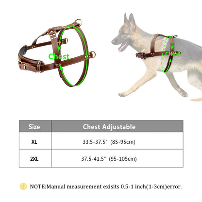 Genuine Leather Dog Harness