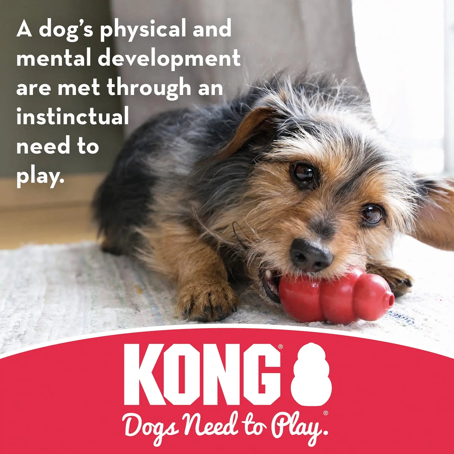 KONG Tires, Durable Rubber Chew Toy for Treats