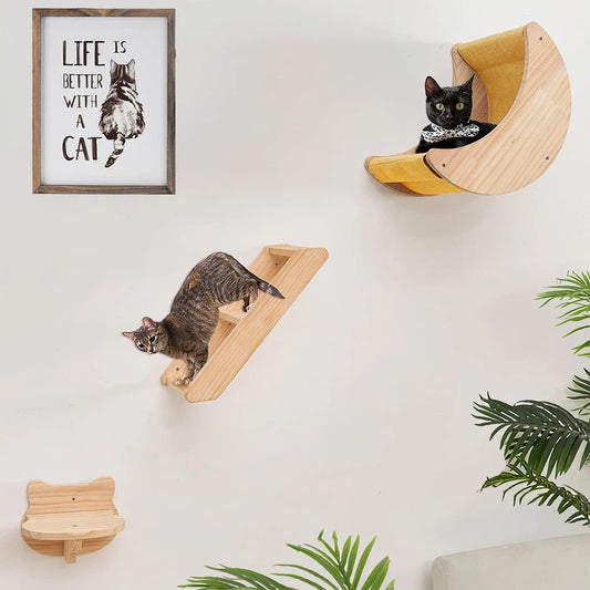 Cat Wall Moon Shape Lounge and Ladder Perch