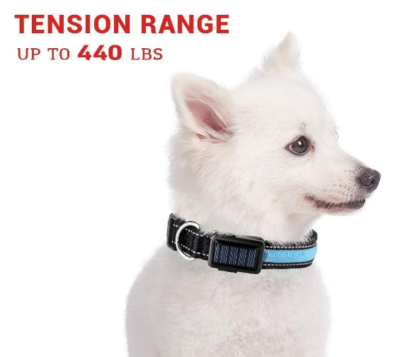 USB and Solar Charge Reflective LED Safety Dog Collar