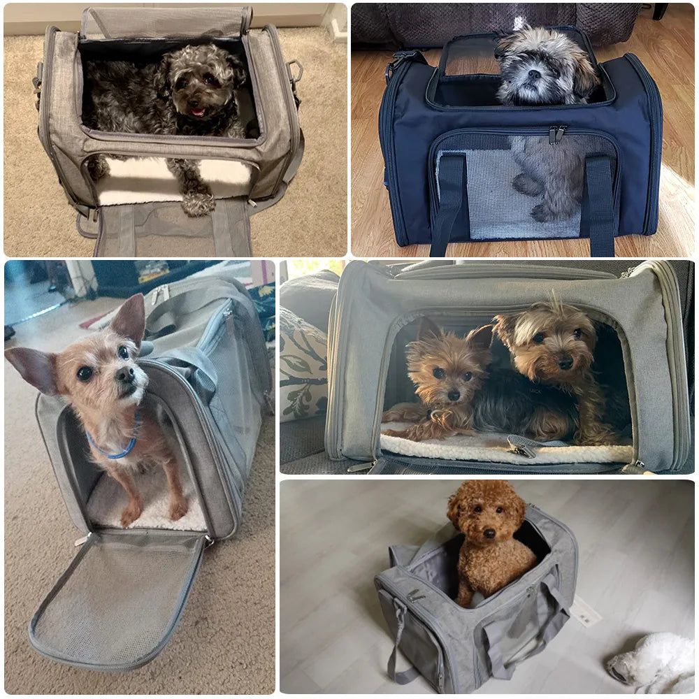 Pet Travel Carrier Bag, Soft Sided (Medium & Large)