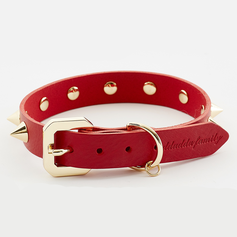 Vegetable Tanned Red Leather/Gold Collar