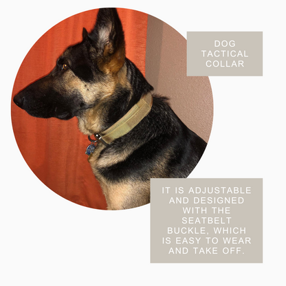 Durable Tactical Grip Dog Collar (M-L)