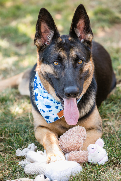 Plush Dog Toy Collection: Interactive 6-Piece Set for Engaging Play