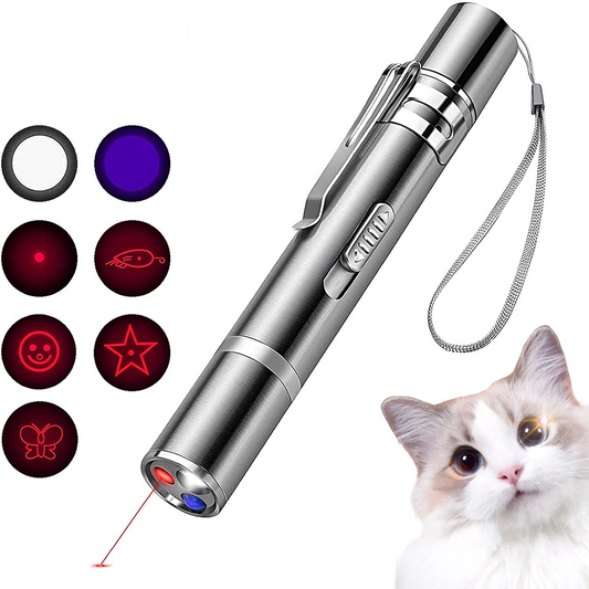 USB Charging Multi-Mode Pet Laser Pointer/Flashlight