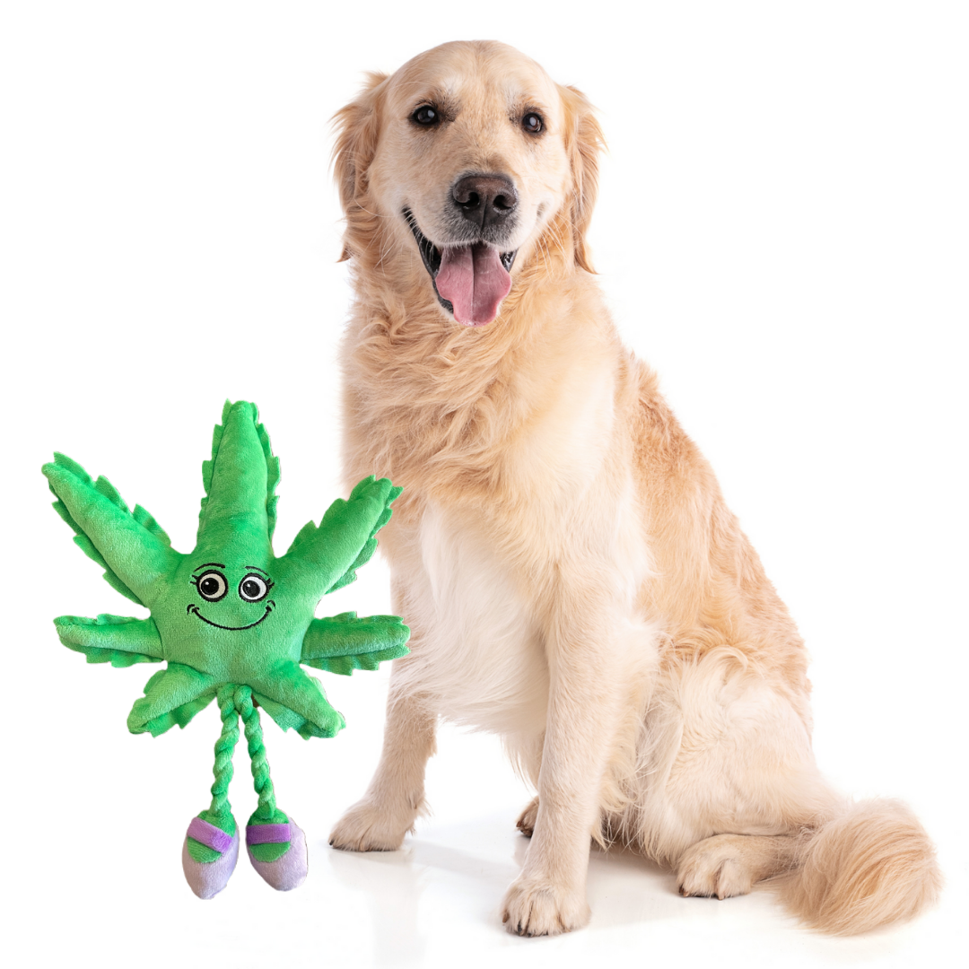 Mary-Jane, The Marijuana Leaf 4/20 Friendly Dog Plush Toy