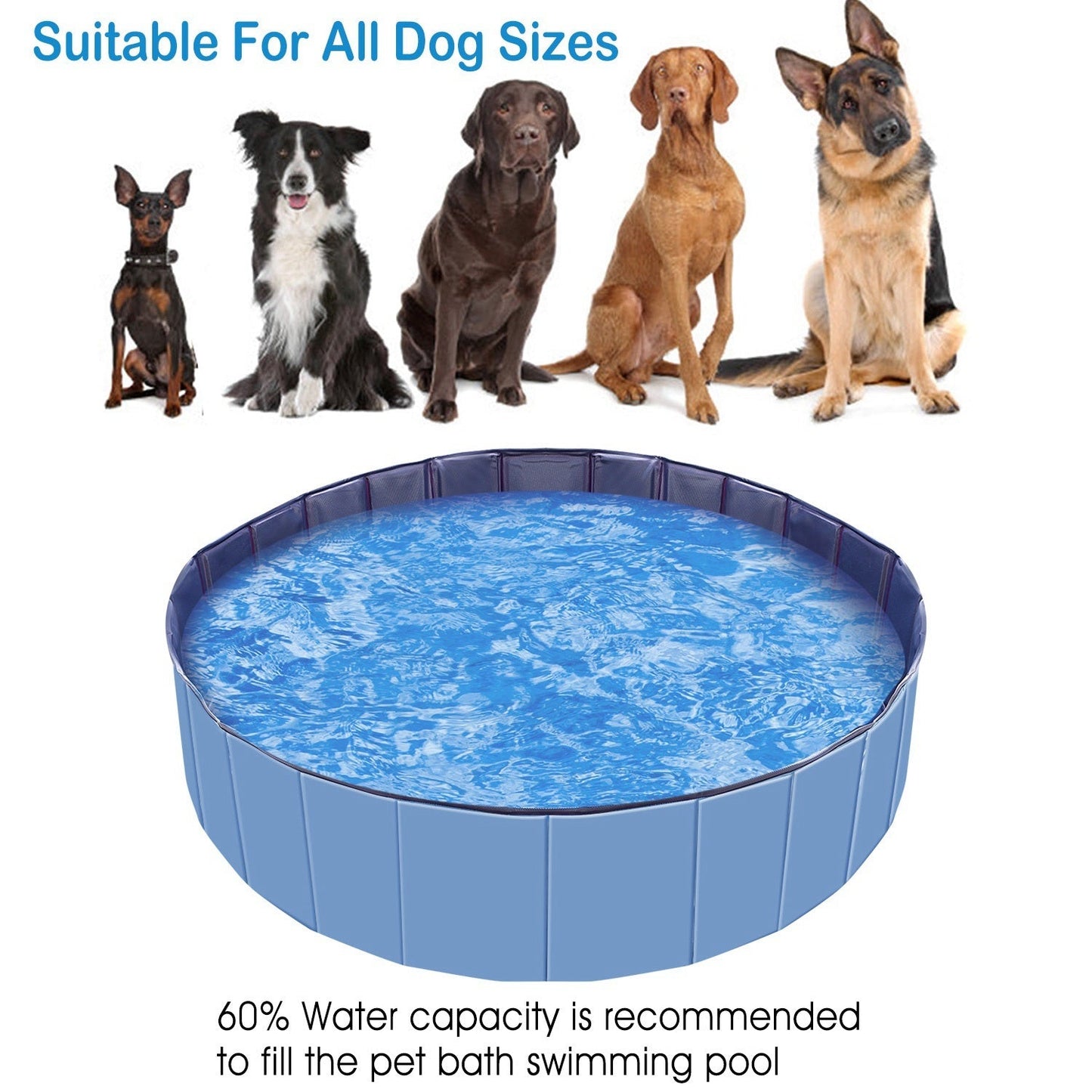 High-Durability Foldable Pet Swimming Pool