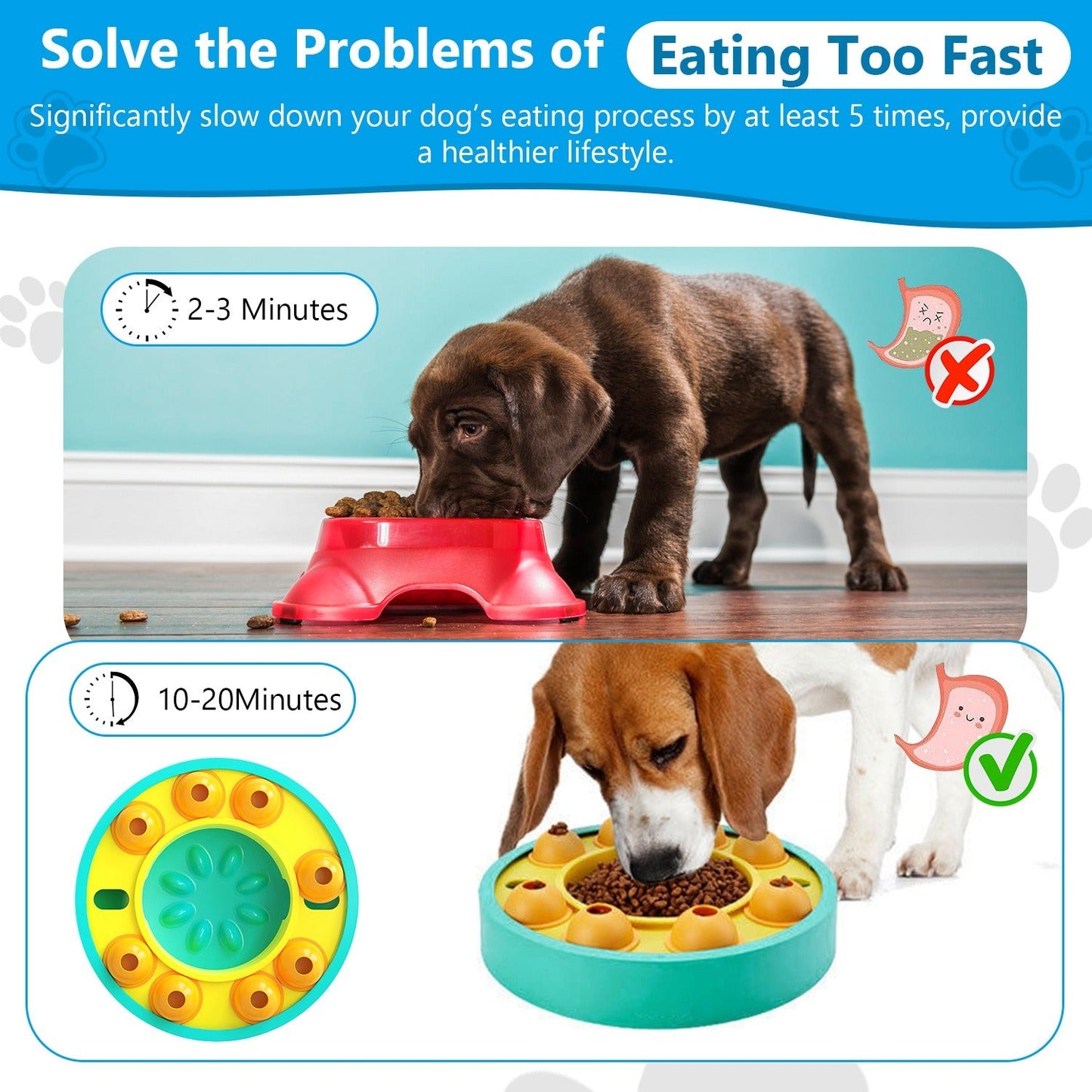 SmartPaws Rotating Food/Treat IQ Puzzle Feeder
