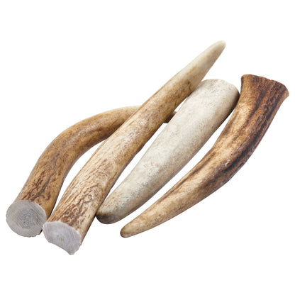 EcoKind Elk Antler Tips (4 Pack)