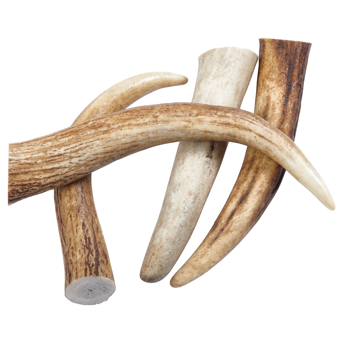 EcoKind Elk Antler Tips (4 Pack)