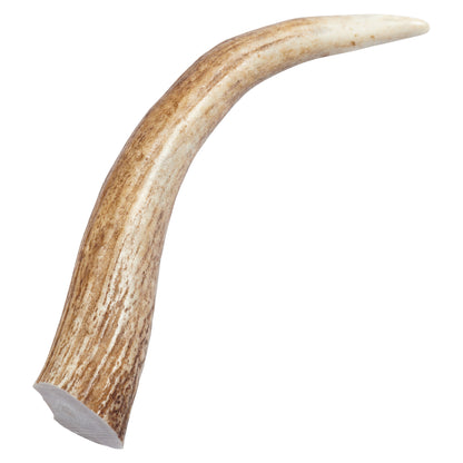 EcoKind Elk Antler Tips (4 Pack)