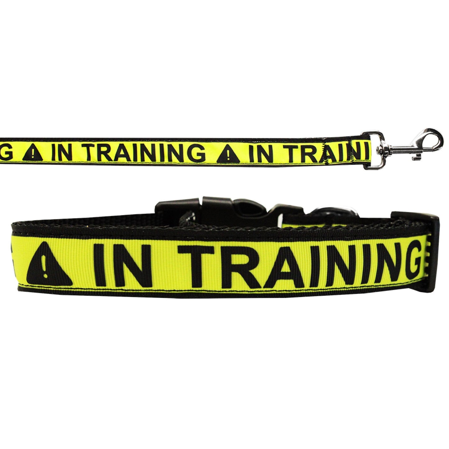 Pet Dog Nylon Collar/ Leash, "In Training" (Sizes SM - XL)