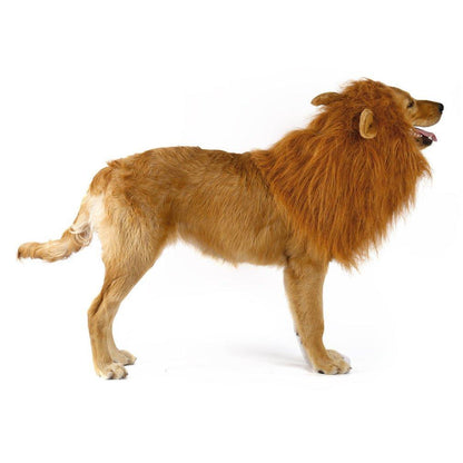 Lion Themed Dog Costume Wig