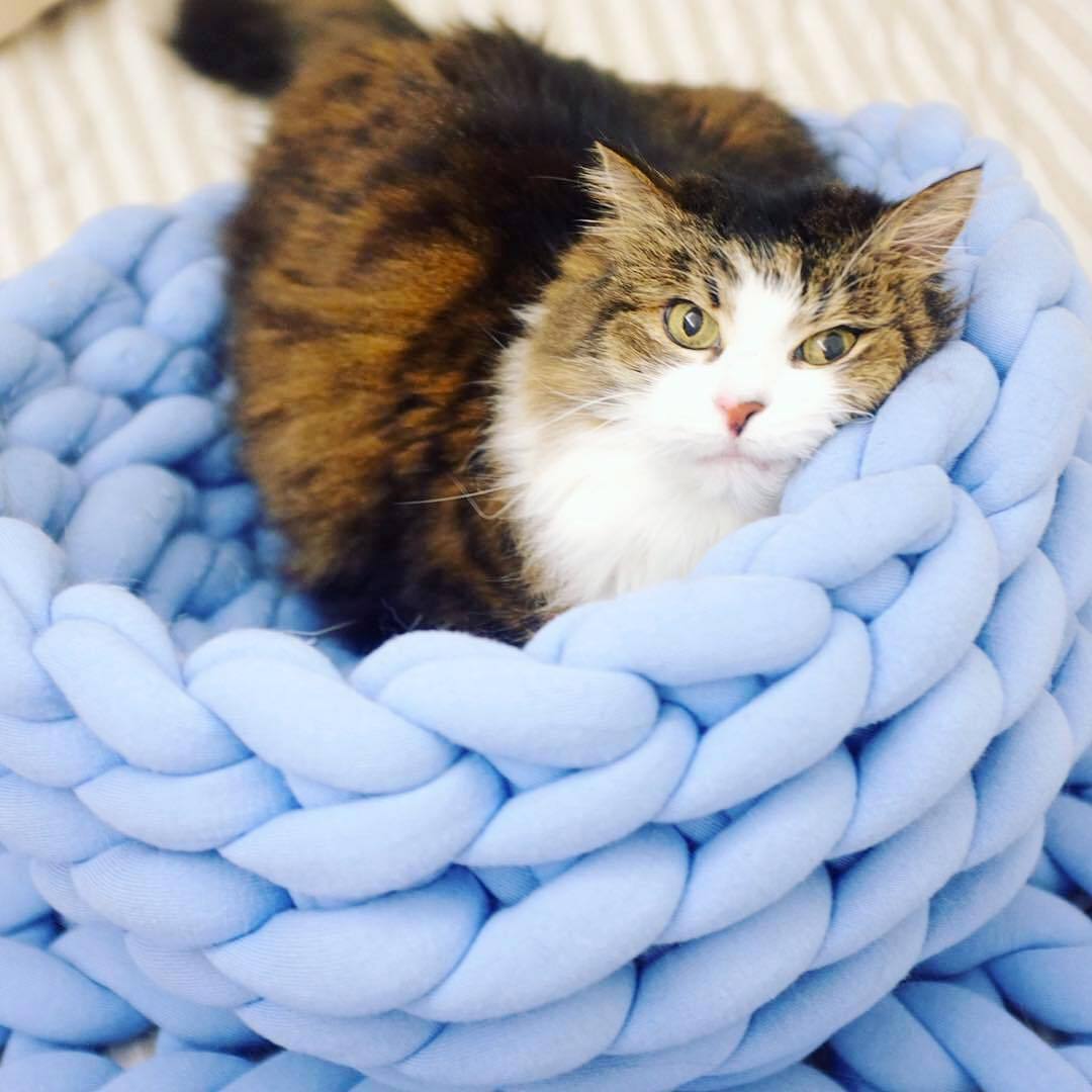 Cozy Haven Warm Knit Cat Bed