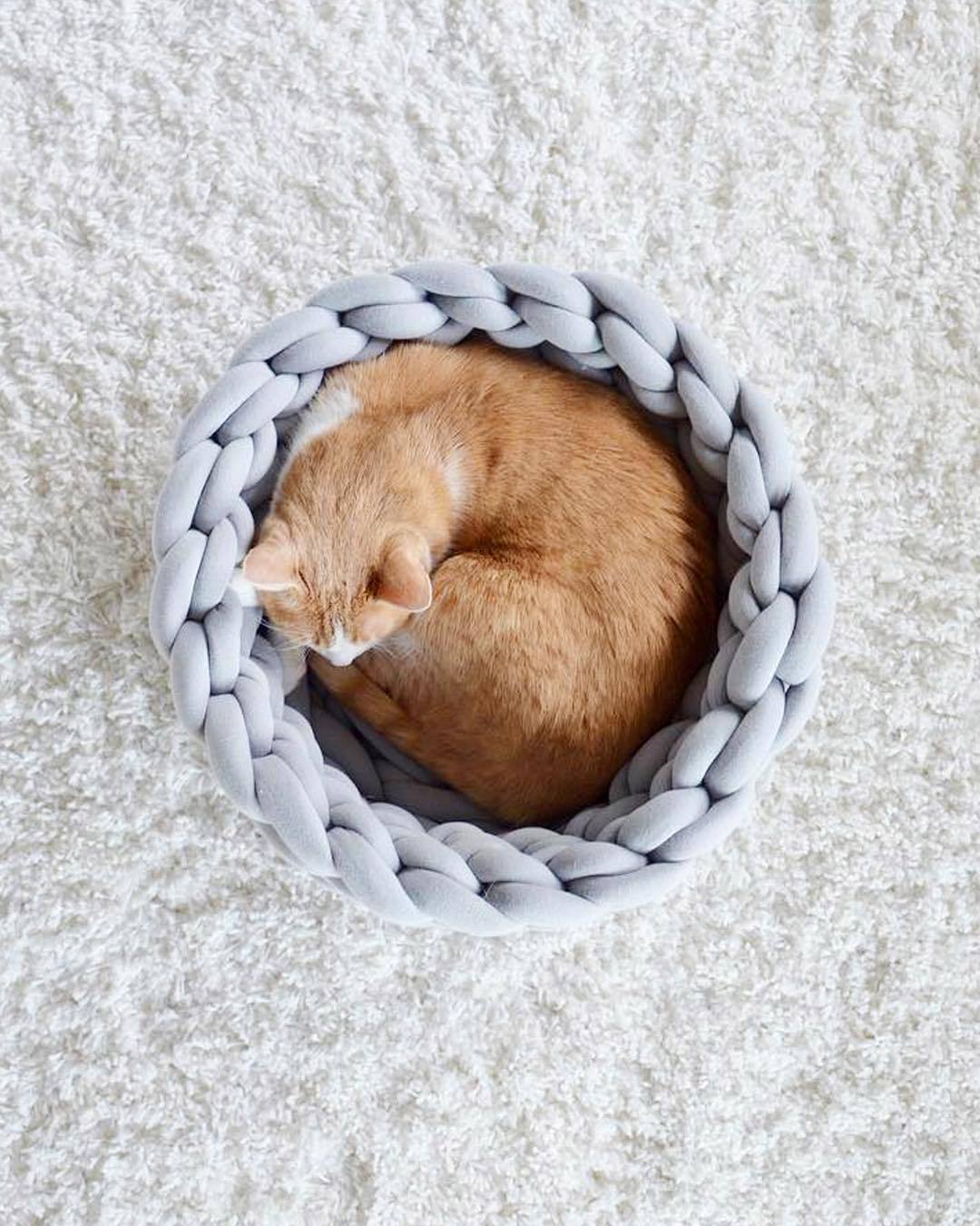 Cozy Haven Warm Knit Cat Bed